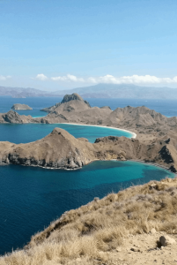 ISLA DE FLORES